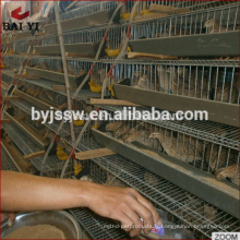 Cages d&#39;élevage de cailles de ferme avicole à vendre en Malaisie